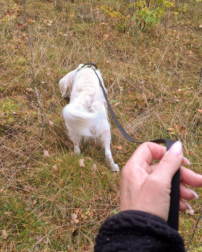 Långlina PawTex